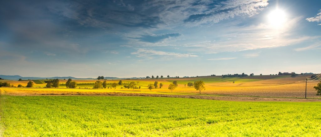 2019 Countryside Health Walks