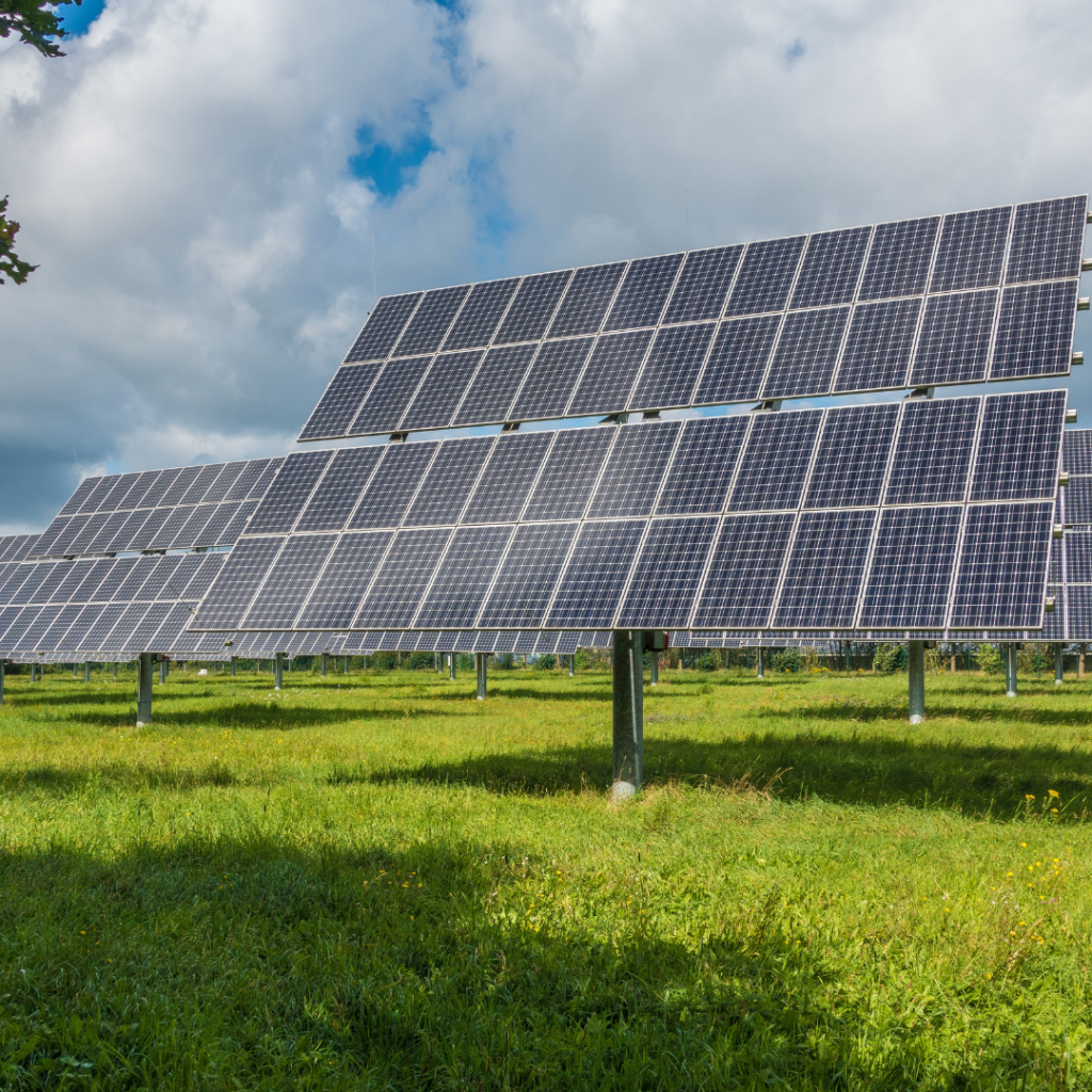 Work begins on solar panel field to power Castle Hill Hospital